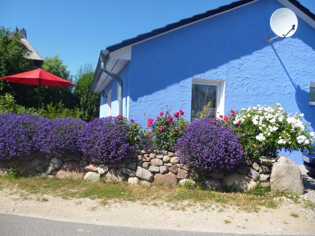 הוילה Lancken Haus Lavendel מראה חיצוני תמונה
